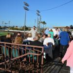 LosAl_Race_0049 (July 26, 2015)